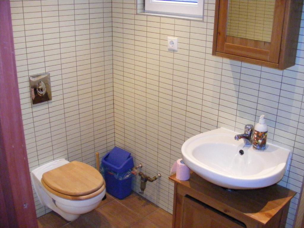 בודפשט Palatinus Apartment חדר תמונה